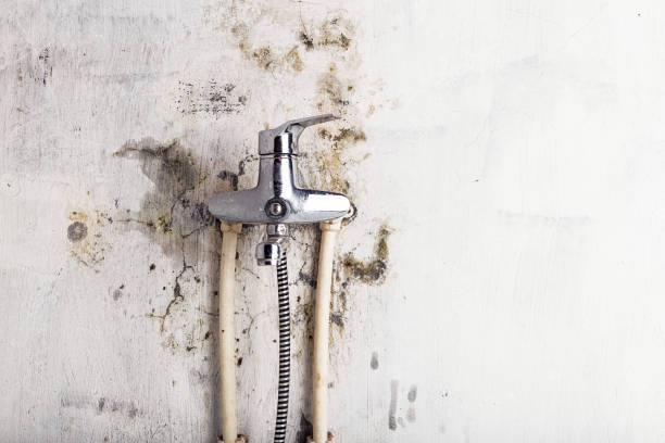 Best Water Damage Restoration  in Cambridge, IL