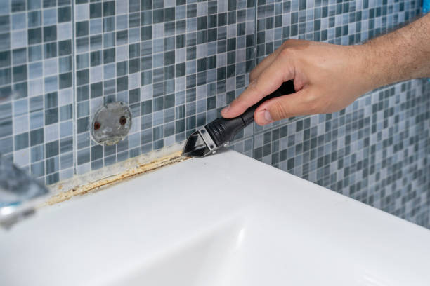Best Mold Inspection  in Cambridge, IL